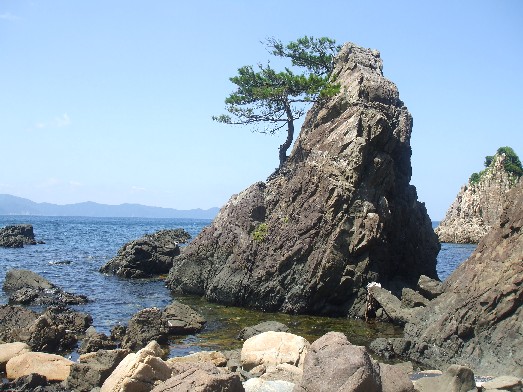 110804 turuga mihama 063.jpg