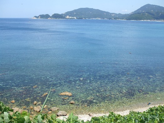 110804 turuga mihama 064.jpg