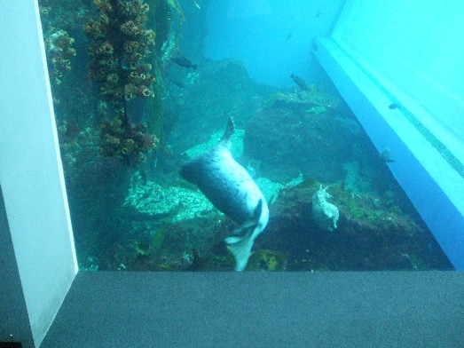 120710iwaki 033.jpg