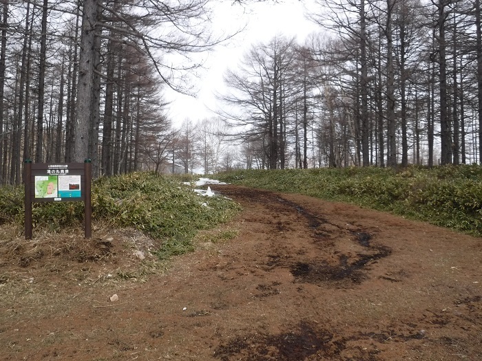 DSCF5818.JPG