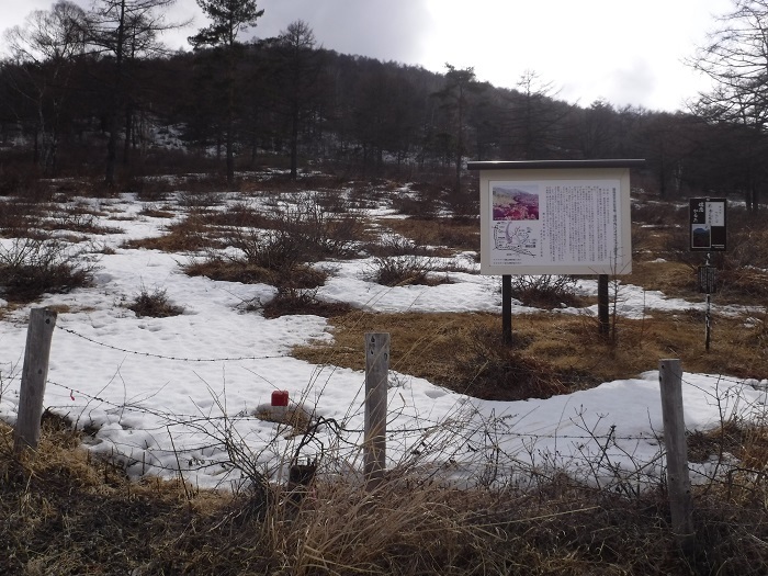 DSCF5838.JPG