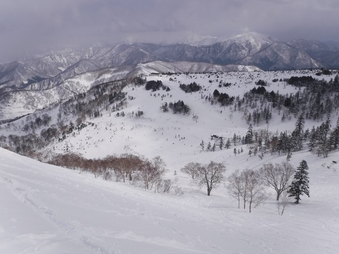 DSCF7453.JPG
