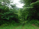 DSCF7545.JPG